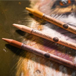 Pastellikynät 24‑setti ryhmässä Kynät / Taiteilijakynät / Pastellikynät @ Pen Store (136578)