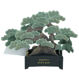 Bonsai ponnahdus kortti (Japanese black pine) ryhmässä Askartelu ja Harrastus / Lomat ja vuodenajat / Kortit ja kirjekuoret @ Pen Store (136616)