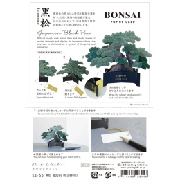Bonsai ponnahdus kortti (Japanese black pine) ryhmässä Askartelu ja Harrastus / Lomat ja vuodenajat / Kortit ja kirjekuoret @ Pen Store (136616)
