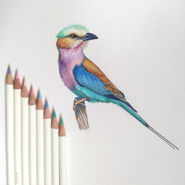 Irojiten värikynä yksittäin ryhmässä Kynät / Taiteilijakynät / Värikynät @ Pen Store (136687_r)