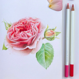 Irojiten värikynä yksittäin ryhmässä Kynät / Taiteilijakynät / Värikynät @ Pen Store (136687_r)