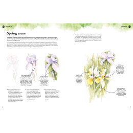 Learn to Draw in an Hour a Day ryhmässä Askartelu ja Harrastus / Kirjat / Ohjekirjat @ Pen Store (137176)