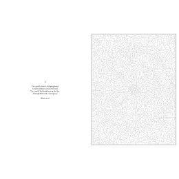 Mystery Coloring Mandalas ryhmässä Askartelu ja Harrastus / Kirjat / Aikuisten värityskirjat @ Pen Store (137182)