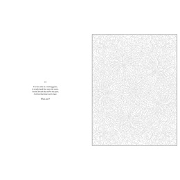 Mystery Coloring Mandalas ryhmässä Askartelu ja Harrastus / Kirjat / Aikuisten värityskirjat @ Pen Store (137182)