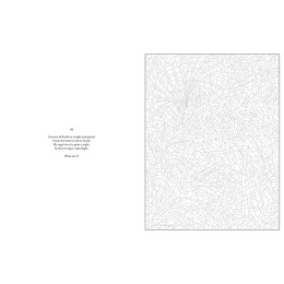 Mystery Coloring Wild Animals ryhmässä Askartelu ja Harrastus / Kirjat / Aikuisten värityskirjat @ Pen Store (137183)