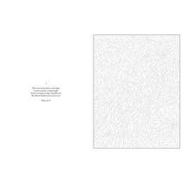 Mystery Coloring Wild Animals ryhmässä Askartelu ja Harrastus / Kirjat / Aikuisten värityskirjat @ Pen Store (137183)