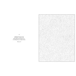 Mystery Coloring Wild Animals ryhmässä Askartelu ja Harrastus / Kirjat / Aikuisten värityskirjat @ Pen Store (137183)