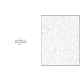 Mystery Coloring Wild Animals ryhmässä Askartelu ja Harrastus / Kirjat / Aikuisten värityskirjat @ Pen Store (137183)