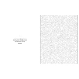 Mystery Coloring Wild Animals ryhmässä Askartelu ja Harrastus / Kirjat / Aikuisten värityskirjat @ Pen Store (137183)