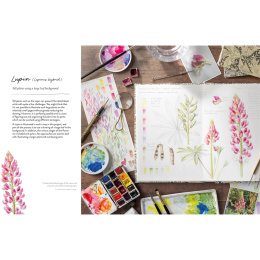 Sketching Nature ryhmässä Askartelu ja Harrastus / Kirjat / Ohjekirjat @ Pen Store (137184)