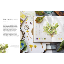 Sketching Nature ryhmässä Askartelu ja Harrastus / Kirjat / Ohjekirjat @ Pen Store (137184)