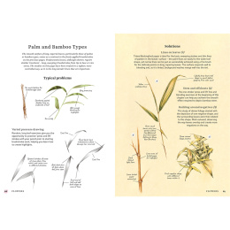 The Bedside Book of Watercolor Wisdom ryhmässä Askartelu ja Harrastus / Kirjat / Inspiraatiokirjat @ Pen Store (137186)