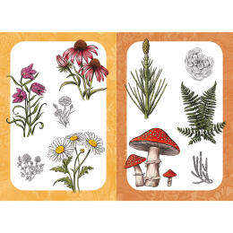 10 Step Drawing: Botanicals ryhmässä Askartelu ja Harrastus / Kirjat / Ohjekirjat @ Pen Store (137196)