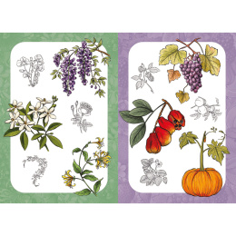 10 Step Drawing: Botanicals ryhmässä Askartelu ja Harrastus / Kirjat / Ohjekirjat @ Pen Store (137196)