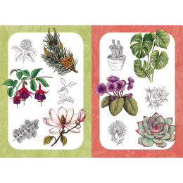10 Step Drawing: Botanicals ryhmässä Askartelu ja Harrastus / Kirjat / Ohjekirjat @ Pen Store (137196)