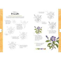 10 Step Drawing: Botanicals ryhmässä Askartelu ja Harrastus / Kirjat / Ohjekirjat @ Pen Store (137196)