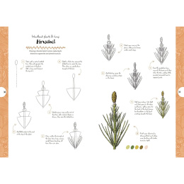 10 Step Drawing: Botanicals ryhmässä Askartelu ja Harrastus / Kirjat / Ohjekirjat @ Pen Store (137196)