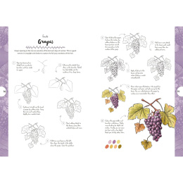 10 Step Drawing: Botanicals ryhmässä Askartelu ja Harrastus / Kirjat / Ohjekirjat @ Pen Store (137196)