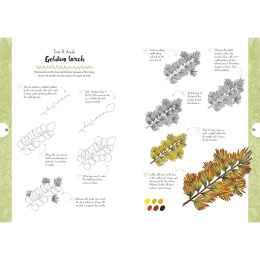 10 Step Drawing: Botanicals ryhmässä Askartelu ja Harrastus / Kirjat / Ohjekirjat @ Pen Store (137196)