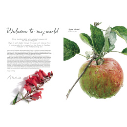 Anna Mason's Watercolour World ryhmässä Askartelu ja Harrastus / Kirjat / Inspiraatiokirjat @ Pen Store (137202)