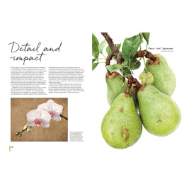 Anna Mason's Watercolour World ryhmässä Askartelu ja Harrastus / Kirjat / Inspiraatiokirjat @ Pen Store (137202)