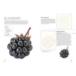 Anna Mason's Watercolour World ryhmässä Askartelu ja Harrastus / Kirjat / Inspiraatiokirjat @ Pen Store (137202)