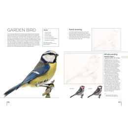 Anna Mason's Watercolour World ryhmässä Askartelu ja Harrastus / Kirjat / Inspiraatiokirjat @ Pen Store (137202)