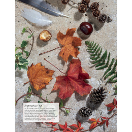 Anna Mason's Watercolour World ryhmässä Askartelu ja Harrastus / Kirjat / Inspiraatiokirjat @ Pen Store (137202)