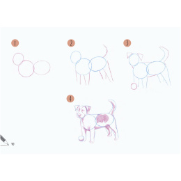 Draw 30: Animals ryhmässä Askartelu ja Harrastus / Kirjat / Ohjekirjat @ Pen Store (137210)