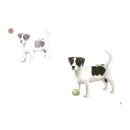 Draw 30: Animals ryhmässä Askartelu ja Harrastus / Kirjat / Ohjekirjat @ Pen Store (137210)