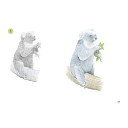 Draw 30: Animals ryhmässä Askartelu ja Harrastus / Kirjat / Ohjekirjat @ Pen Store (137210)