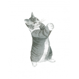 Draw 30: Cats ryhmässä Askartelu ja Harrastus / Kirjat / Ohjekirjat @ Pen Store (137211)