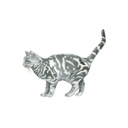 Draw 30: Cats ryhmässä Askartelu ja Harrastus / Kirjat / Ohjekirjat @ Pen Store (137211)