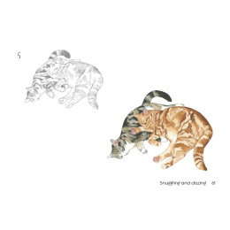 Draw 30: Cats ryhmässä Askartelu ja Harrastus / Kirjat / Ohjekirjat @ Pen Store (137211)