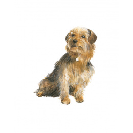 Draw 30: Dogs ryhmässä Askartelu ja Harrastus / Kirjat / Ohjekirjat @ Pen Store (137213)