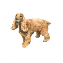 Draw 30: Dogs ryhmässä Askartelu ja Harrastus / Kirjat / Ohjekirjat @ Pen Store (137213)