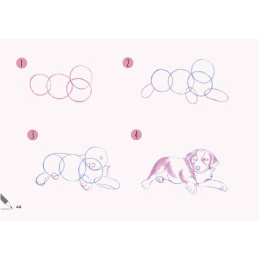 Draw 30: Dogs ryhmässä Askartelu ja Harrastus / Kirjat / Ohjekirjat @ Pen Store (137213)