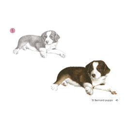 Draw 30: Dogs ryhmässä Askartelu ja Harrastus / Kirjat / Ohjekirjat @ Pen Store (137213)