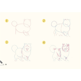 Draw 30: Dogs ryhmässä Askartelu ja Harrastus / Kirjat / Ohjekirjat @ Pen Store (137213)