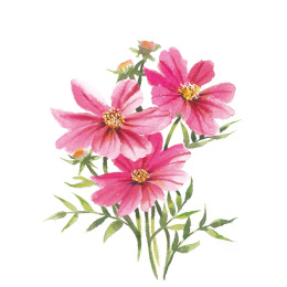 Draw 30: Flowers ryhmässä Askartelu ja Harrastus / Kirjat / Ohjekirjat @ Pen Store (137215)