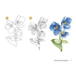 Draw 30: Flowers ryhmässä Askartelu ja Harrastus / Kirjat / Ohjekirjat @ Pen Store (137215)