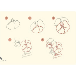 Draw 30: Flowers ryhmässä Askartelu ja Harrastus / Kirjat / Ohjekirjat @ Pen Store (137215)