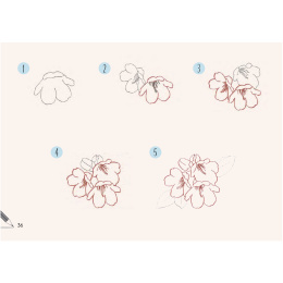 Draw 30: Flowers ryhmässä Askartelu ja Harrastus / Kirjat / Ohjekirjat @ Pen Store (137215)