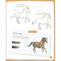 Draw in 10 Minutes: Animals ryhmässä Askartelu ja Harrastus / Kirjat / Ohjekirjat @ Pen Store (137218)