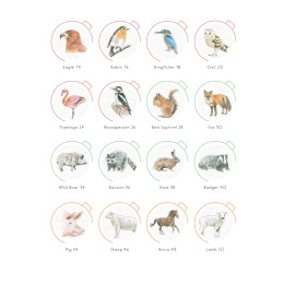 Draw in 10 Minutes: Animals ryhmässä Askartelu ja Harrastus / Kirjat / Ohjekirjat @ Pen Store (137218)