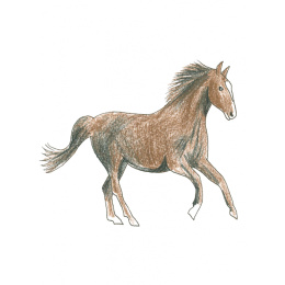 Draw in 10 Minutes: Animals ryhmässä Askartelu ja Harrastus / Kirjat / Ohjekirjat @ Pen Store (137218)