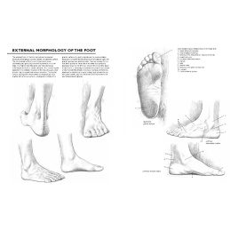 Drawing: A Complete Guide ryhmässä Askartelu ja Harrastus / Kirjat / Inspiraatiokirjat @ Pen Store (137220)