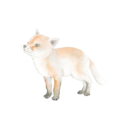 How to Draw: Baby Animals ryhmässä Askartelu ja Harrastus / Kirjat / Ohjekirjat @ Pen Store (137223)