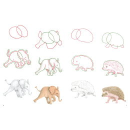 How to Draw: Baby Animals ryhmässä Askartelu ja Harrastus / Kirjat / Ohjekirjat @ Pen Store (137223)