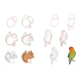How to Draw: Baby Animals ryhmässä Askartelu ja Harrastus / Kirjat / Ohjekirjat @ Pen Store (137223)